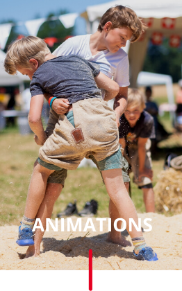 Dynam_Event_Animation_Journée collaborateur_Lutte suisse