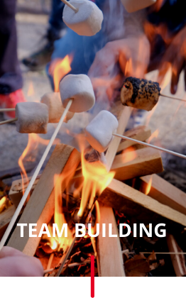 Dynam_Team Building