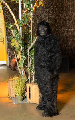 Soirée Jungle