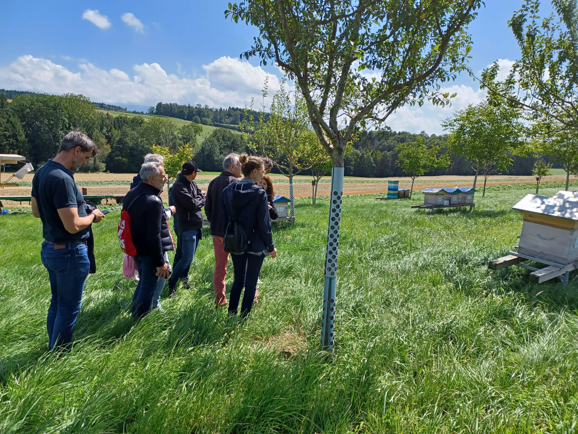 La balade autour du miel - une jolie histoire... 3 , agence marketing événementiel suisse
