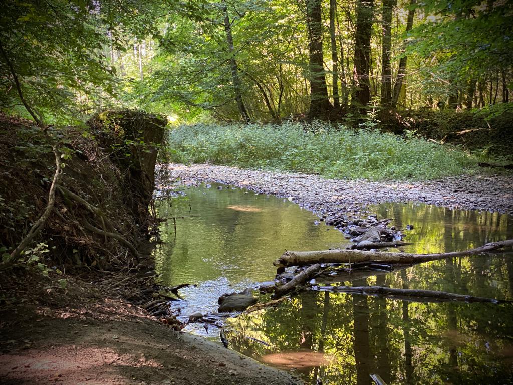La balade autour du miel - une jolie histoire... 11 , agence marketing événementiel suisse