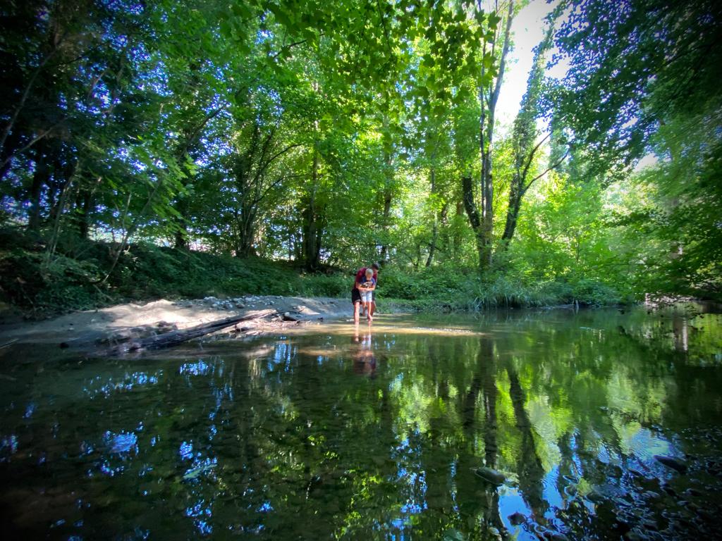 La balade autour du miel - une jolie histoire... 14 , agence marketing événementiel suisse