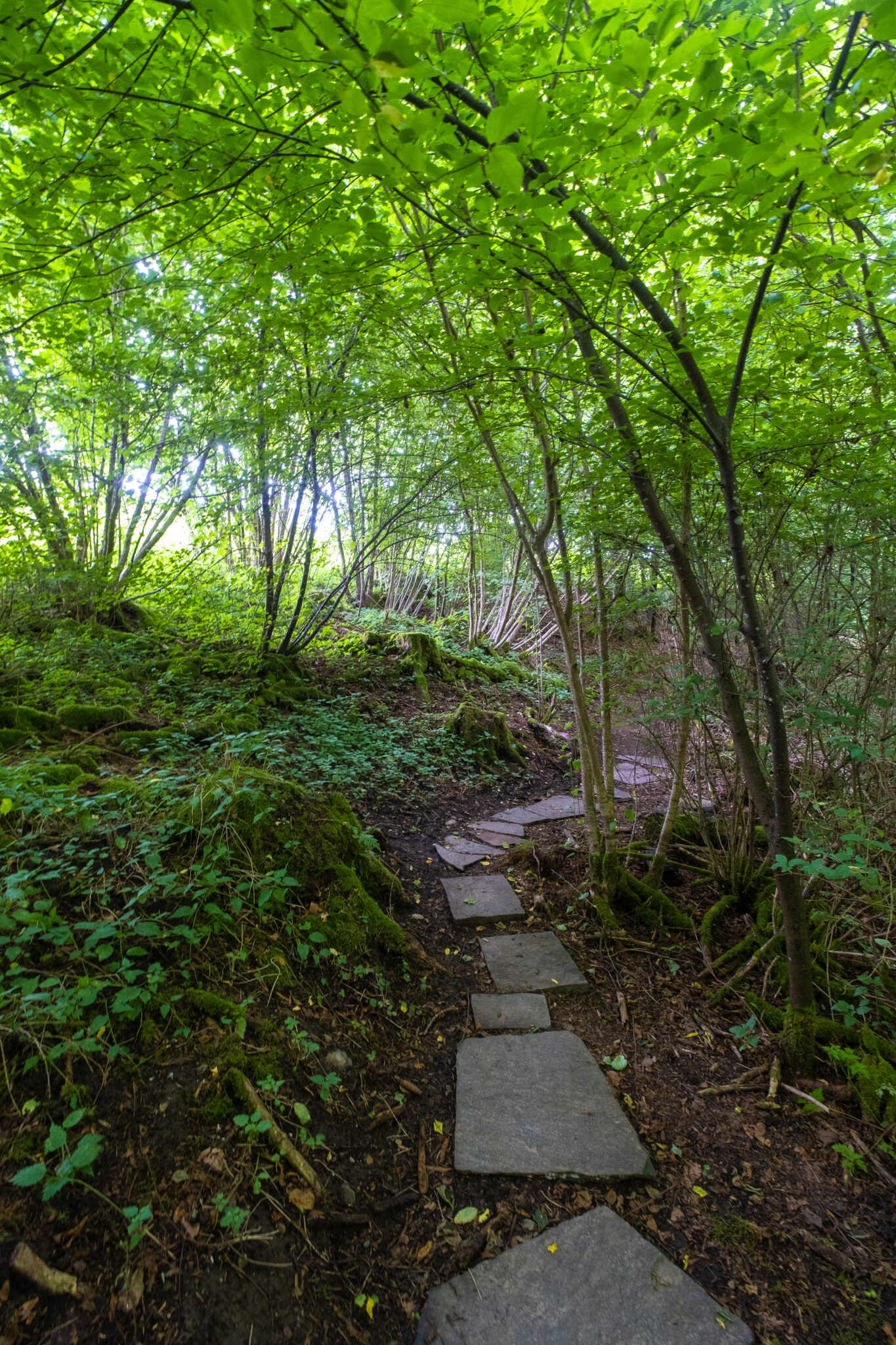 La balade autour du miel - une jolie histoire... 18 , agence marketing événementiel suisse