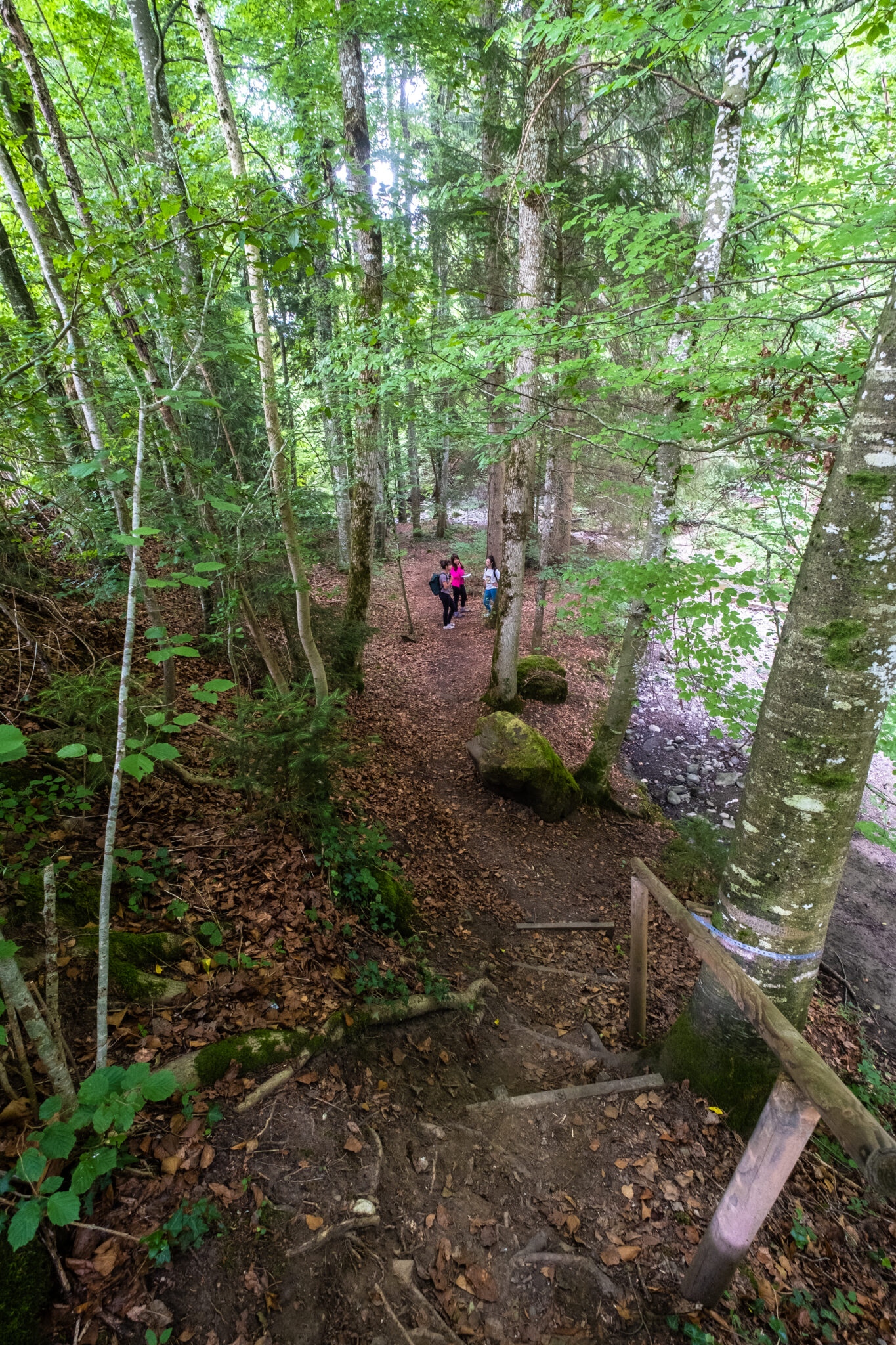 La balade autour du miel - une jolie histoire... 20 , agence marketing événementiel suisse