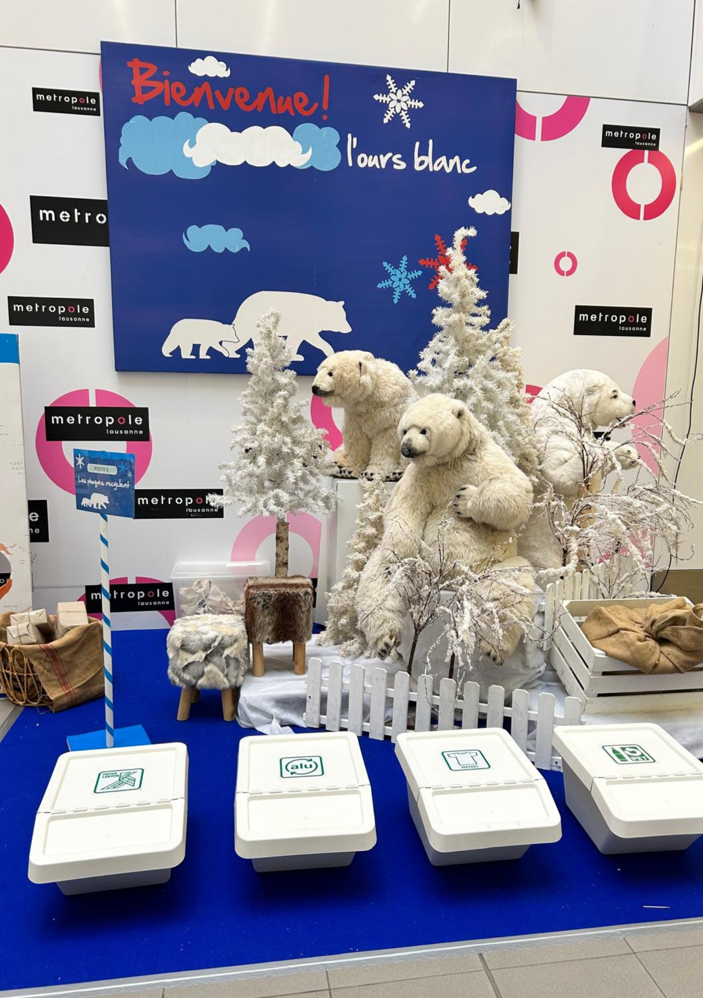 Chasse sur la banquise !