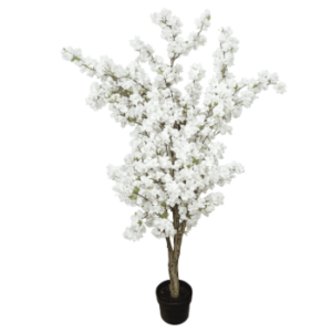 Boules Géante - différentes tailles 23 Plante Cerisier en fleur blanche