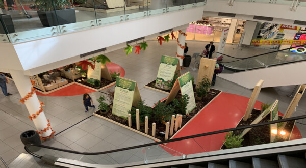 Dynam_Stand_Expositions_Centres Commerciaux