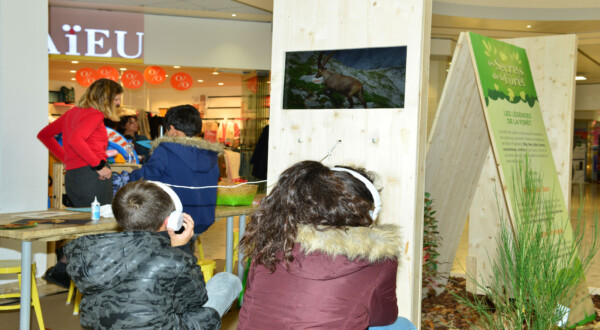 Dynam_Stand_Expositions_Centres Commerciaux