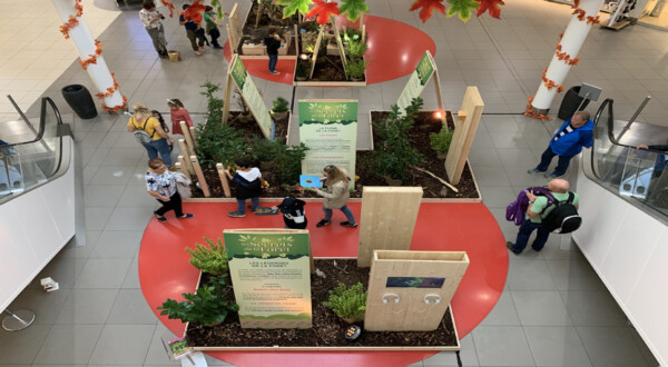 Dynam_Stand_Expositions_Centres Commerciaux