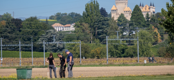 Team Building - Un Team Building environnemental 3 , agence marketing événementiel suisse