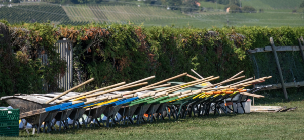 Team Building - Un Team Building environnemental 4 , agence marketing événementiel suisse