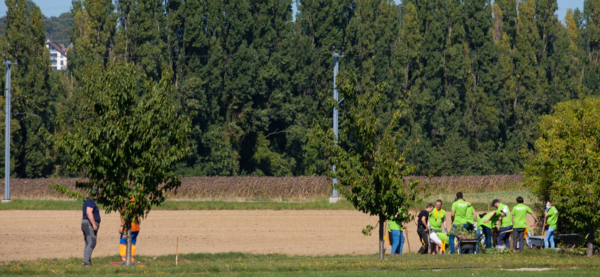 Team Building - Un Team Building environnemental 5 , agence marketing événementiel suisse