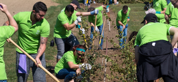 Team Building - Un Team Building environnemental 2 , agence marketing événementiel suisse