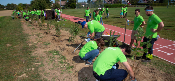 Team Building - Un Team Building environnemental 7 , agence marketing événementiel suisse