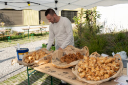 Osiris - Inauguration d'un écoquartier 13 , agence marketing événementiel suisse