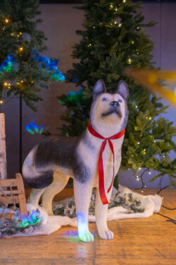 Soirée Après-Ski 5 , agence marketing événementiel suisse