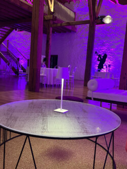 Soirée "Casino Royale" 14 , agence marketing événementiel suisse